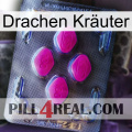 Drachen Kräuter 02